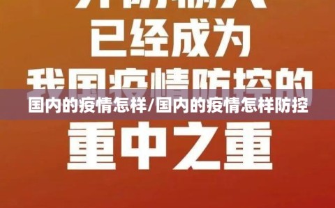 国内的疫情怎样/国内的疫情怎样防控