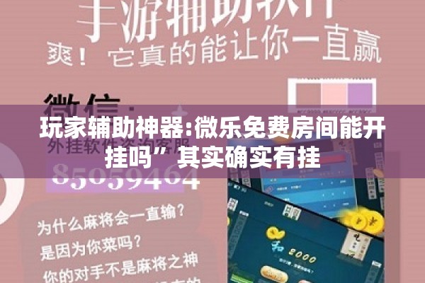 玩家辅助神器:微乐免费房间能开挂吗”其实确实有挂