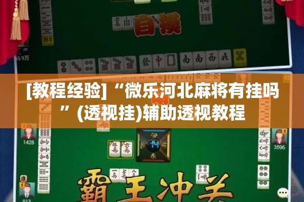 [教程经验]“微乐河北麻将有挂吗”(透视挂)辅助透视教程