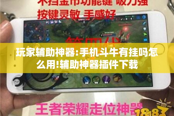 玩家辅助神器:手机斗牛有挂吗怎么用!辅助神器插件下载