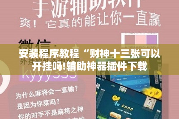 安装程序教程“财神十三张可以开挂吗!辅助神器插件下载