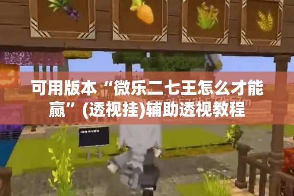 可用版本“微乐二七王怎么才能赢”(透视挂)辅助透视教程