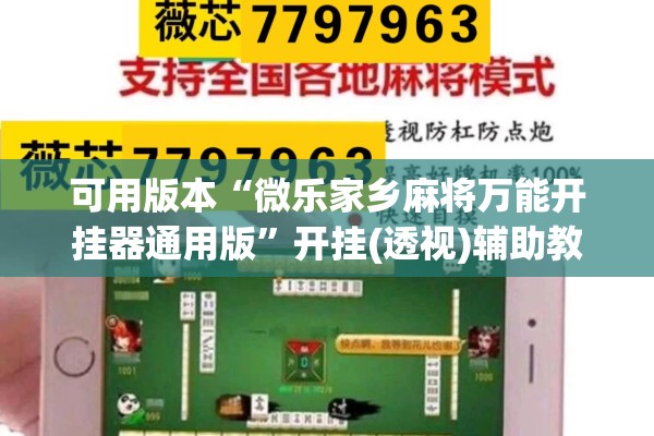可用版本“微乐家乡麻将万能开挂器通用版”开挂(透视)辅助教程