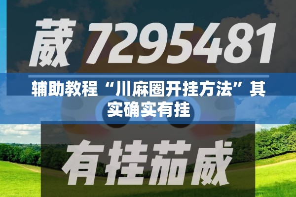 辅助教程“川麻圈开挂方法”其实确实有挂