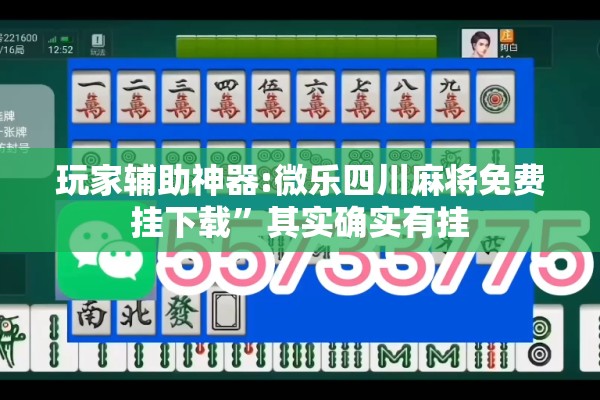 玩家辅助神器:微乐四川麻将免费挂下载	”其实确实有挂