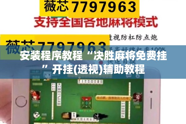 安装程序教程“决胜麻将免费挂	”开挂(透视)辅助教程
