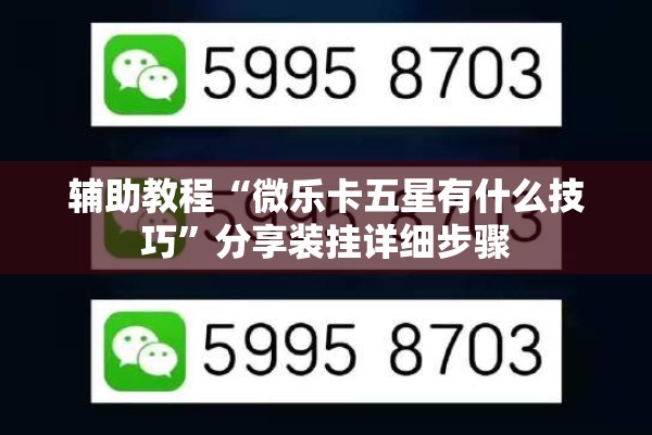 辅助教程“微乐卡五星有什么技巧”分享装挂详细步骤