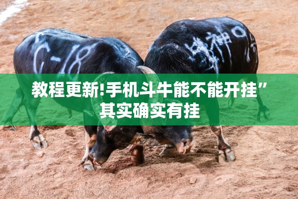 教程更新!手机斗牛能不能开挂”其实确实有挂
