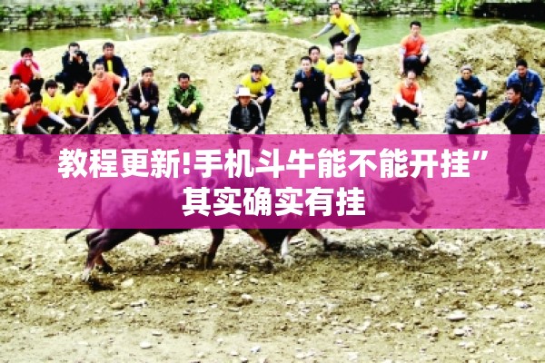 教程更新!手机斗牛能不能开挂	”其实确实有挂