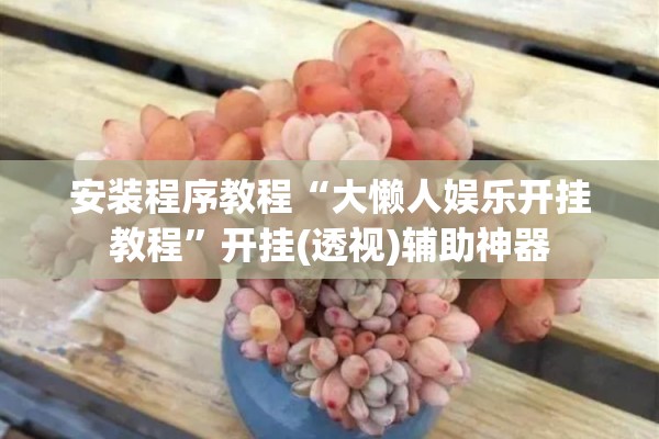 安装程序教程“大懒人娱乐开挂教程”开挂(透视)辅助神器