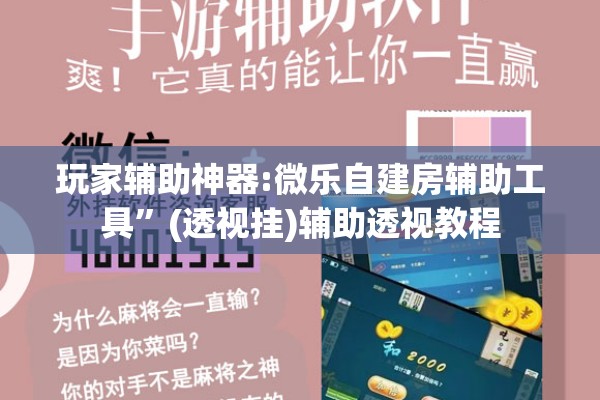 玩家辅助神器:微乐自建房辅助工具”(透视挂)辅助透视教程