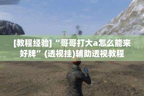 [教程经验]“哥哥打大a怎么能来好牌”(透视挂)辅助透视教程