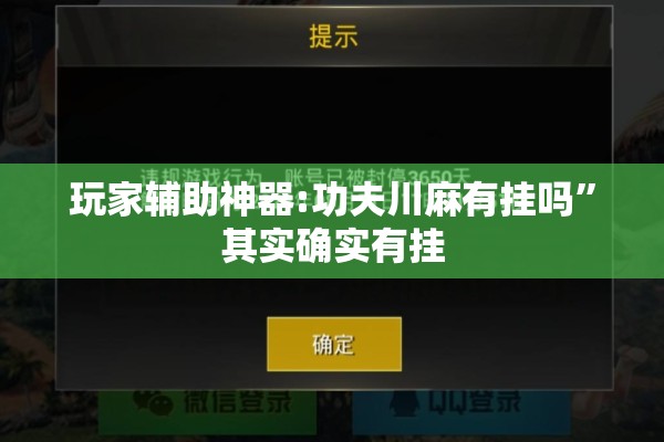 玩家辅助神器:功夫川麻有挂吗”其实确实有挂