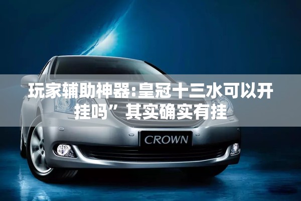 玩家辅助神器:皇冠十三水可以开挂吗”其实确实有挂