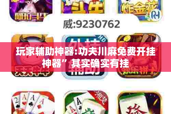 玩家辅助神器:功夫川麻免费开挂神器”其实确实有挂