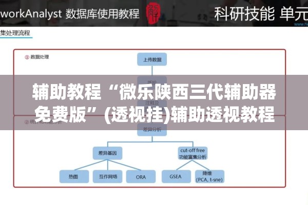 辅助教程“微乐陕西三代辅助器免费版”(透视挂)辅助透视教程