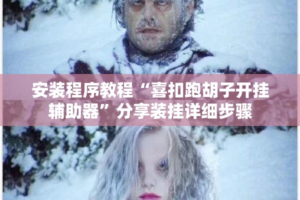 安装程序教程“喜扣跑胡子开挂辅助器”分享装挂详细步骤