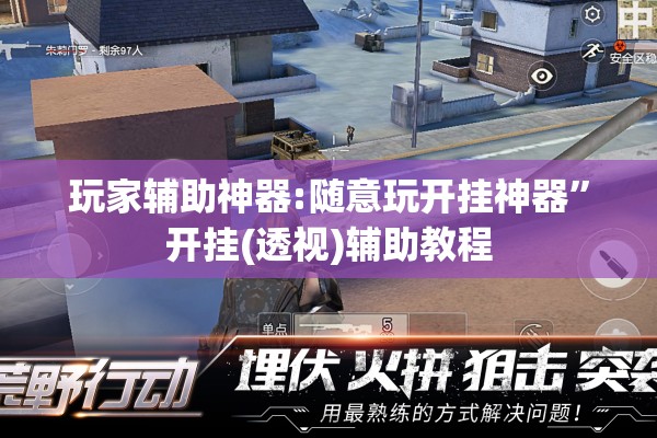 玩家辅助神器:随意玩开挂神器	”开挂(透视)辅助教程