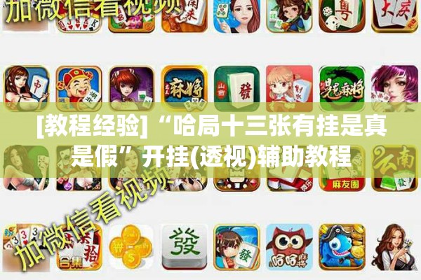 [教程经验]“哈局十三张有挂是真是假”开挂(透视)辅助教程