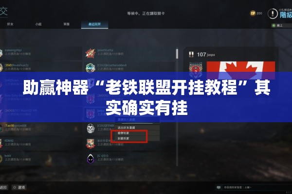 助赢神器“老铁联盟开挂教程”其实确实有挂