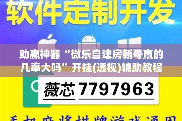 助赢神器“微乐自建房新号赢的几率大吗”开挂(透视)辅助教程