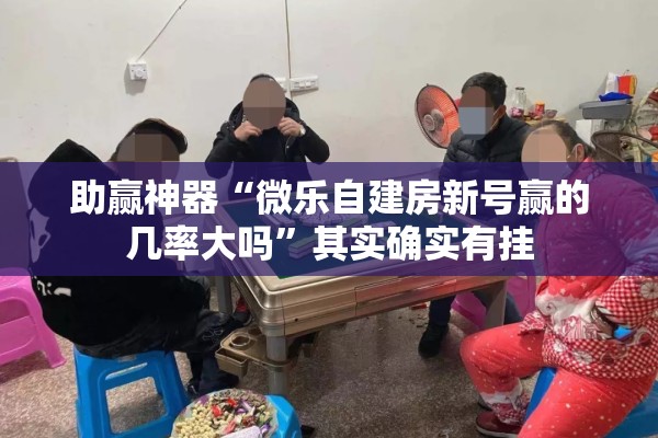 助赢神器“微乐自建房新号赢的几率大吗”其实确实有挂