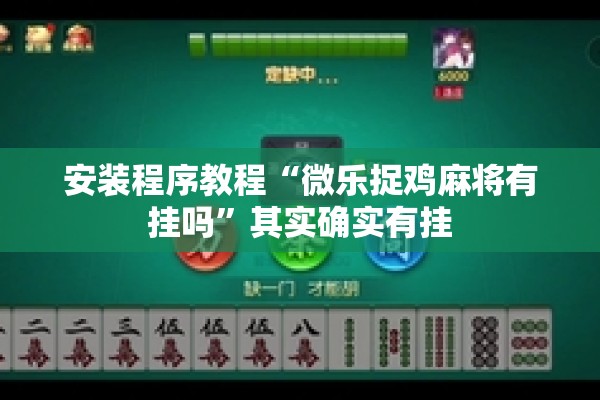 安装程序教程“微乐捉鸡麻将有挂吗”其实确实有挂