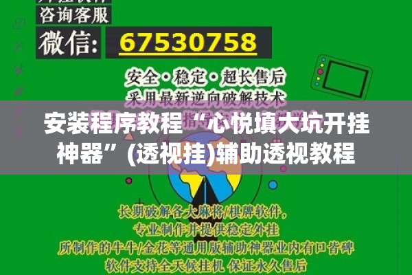 安装程序教程“心悦填大坑开挂神器	”(透视挂)辅助透视教程