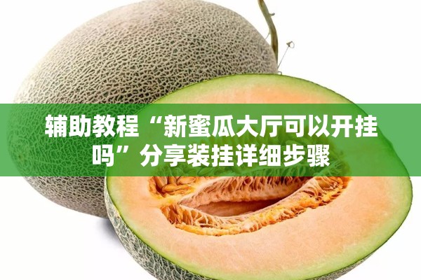 辅助教程“新蜜瓜大厅可以开挂吗”分享装挂详细步骤