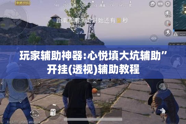 玩家辅助神器:心悦填大坑辅助”开挂(透视)辅助教程
