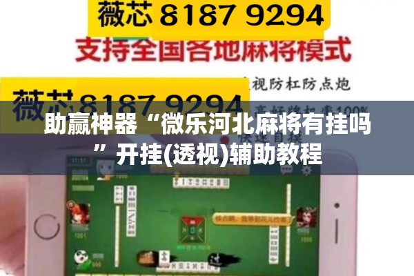 助赢神器“微乐河北麻将有挂吗”开挂(透视)辅助教程