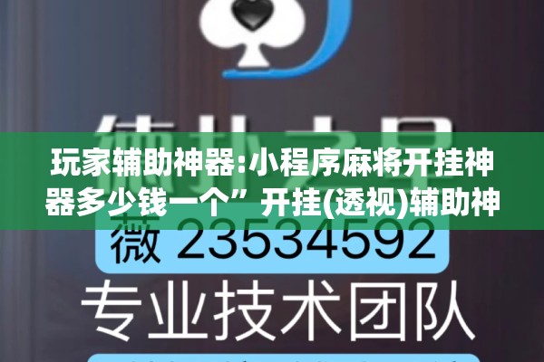 玩家辅助神器:小程序麻将开挂神器多少钱一个”开挂(透视)辅助神器