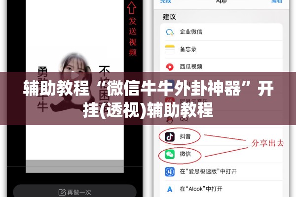 辅助教程“微信牛牛外卦神器”开挂(透视)辅助教程