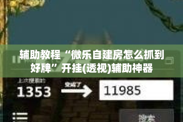 辅助教程“微乐自建房怎么抓到好牌	”开挂(透视)辅助神器