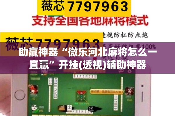 助赢神器“微乐河北麻将怎么一直赢”开挂(透视)辅助神器