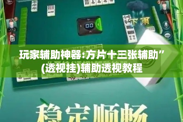 玩家辅助神器:方片十三张辅助”(透视挂)辅助透视教程