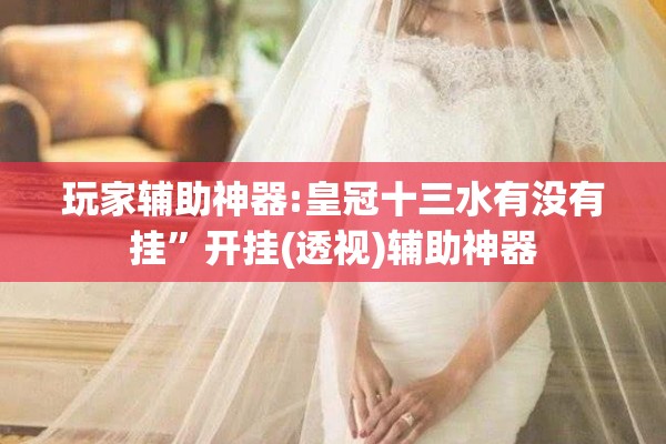 玩家辅助神器:皇冠十三水有没有挂”开挂(透视)辅助神器