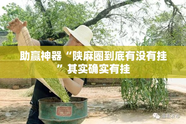 助赢神器“陕麻圈到底有没有挂”其实确实有挂