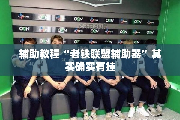 辅助教程“老铁联盟辅助器	”其实确实有挂