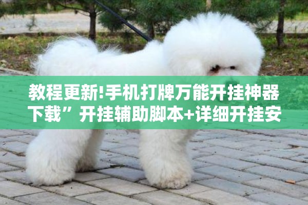 教程更新!手机打牌万能开挂神器下载	”开挂辅助脚本+详细开挂安装教程