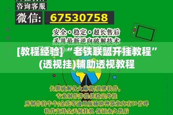 [教程经验]“老铁联盟开挂教程”(透视挂)辅助透视教程