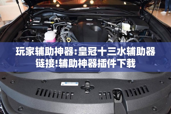 玩家辅助神器:皇冠十三水辅助器链接!辅助神器插件下载
