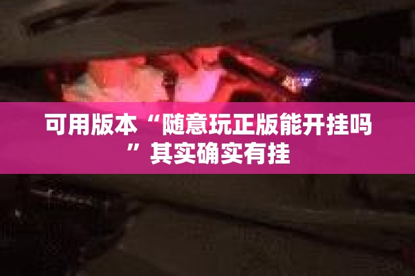 可用版本“随意玩正版能开挂吗”其实确实有挂