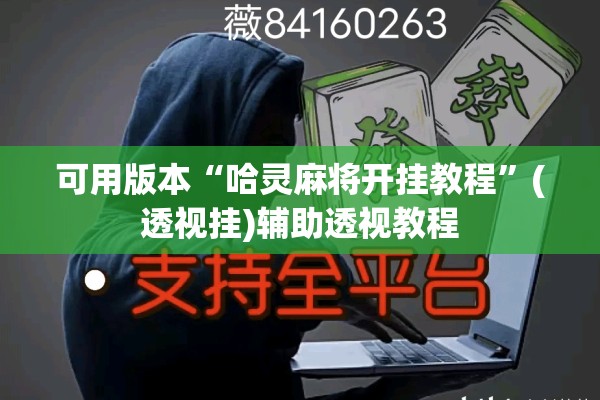 可用版本“哈灵麻将开挂教程”(透视挂)辅助透视教程