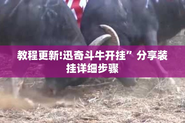 教程更新!迅奇斗牛开挂”分享装挂详细步骤