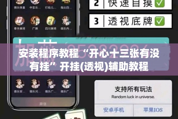 安装程序教程“开心十三张有没有挂”开挂(透视)辅助教程