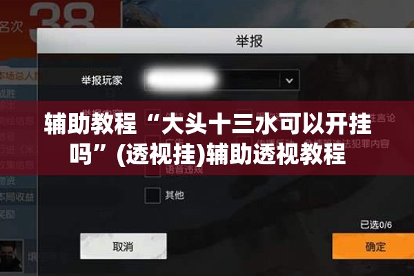 辅助教程“大头十三水可以开挂吗”(透视挂)辅助透视教程