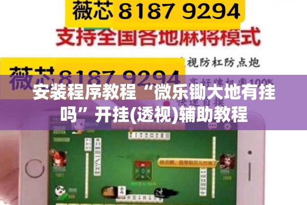 安装程序教程“微乐锄大地有挂吗	”开挂(透视)辅助教程