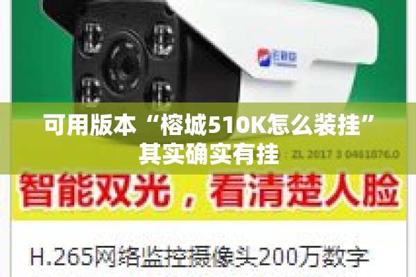 可用版本“榕城510K怎么装挂	”其实确实有挂