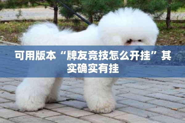 可用版本“牌友竞技怎么开挂	”其实确实有挂